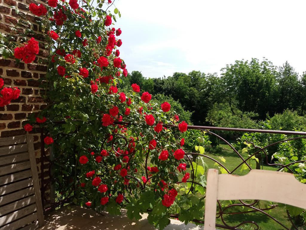 B&B De Kersentuin Borgloon Exteriér fotografie